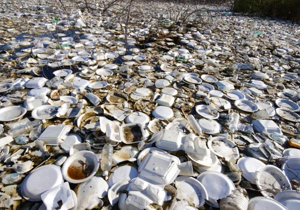Water body choked with floating thermocol plates and plastic waste