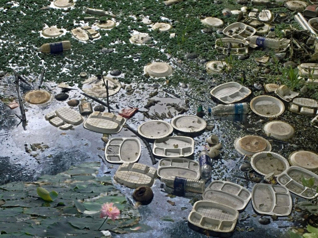Pond polluted with plastic buffet trays and thermocol bowls